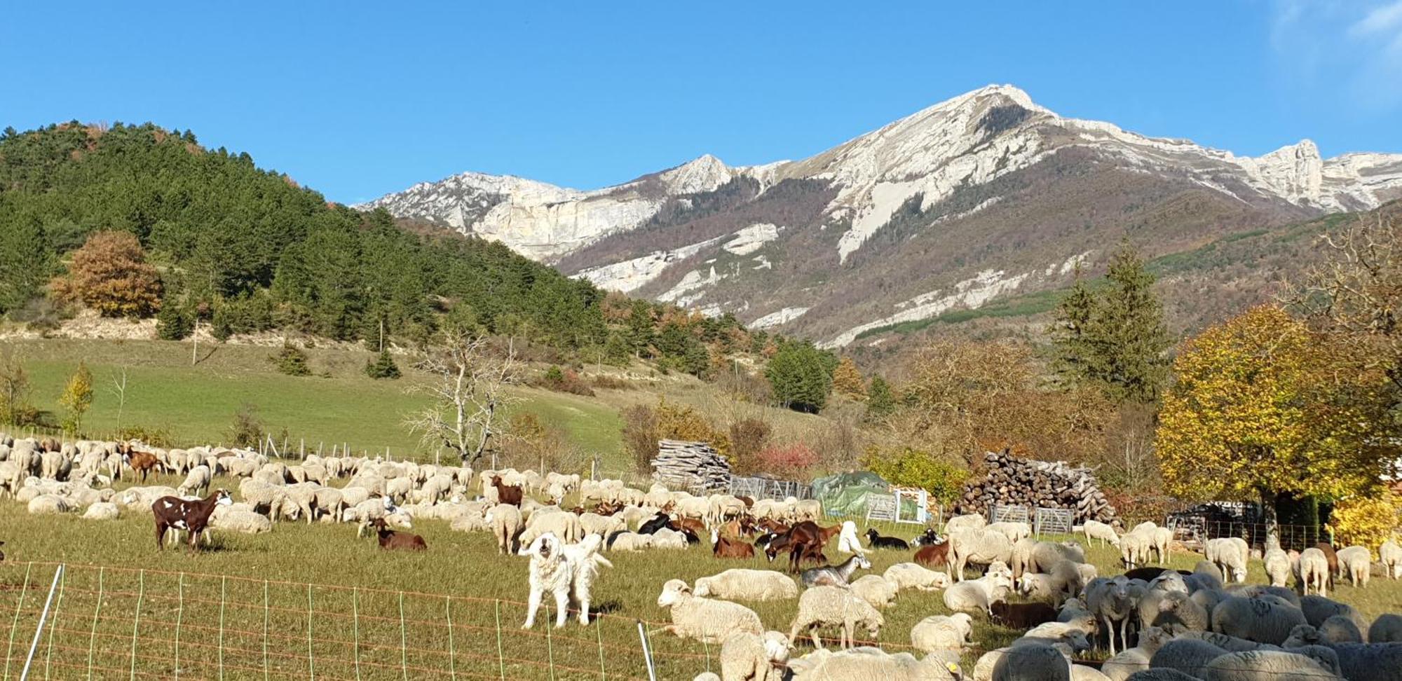 Maison De Village Aux Portes Du Vercors Chamaloc Dış mekan fotoğraf